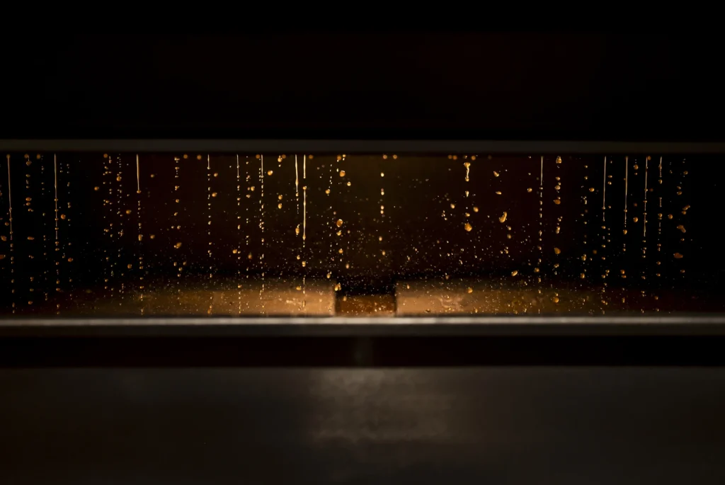 Burbujas de CO2 durante la fermentación alcohólica mostrando la transformación del mosto en vino