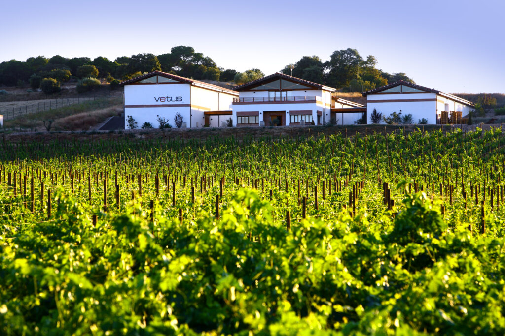 Vista de la bodega Vetus, un edificio blanco de arquitectura moderna, rodeado por las hileras de sus viñedos en la D.O. Toro.