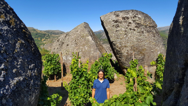 Viticultor de pie en medio de un pequeño viñedo entre dos inmensas rocas de granito partido en la Sierra de Gredos.