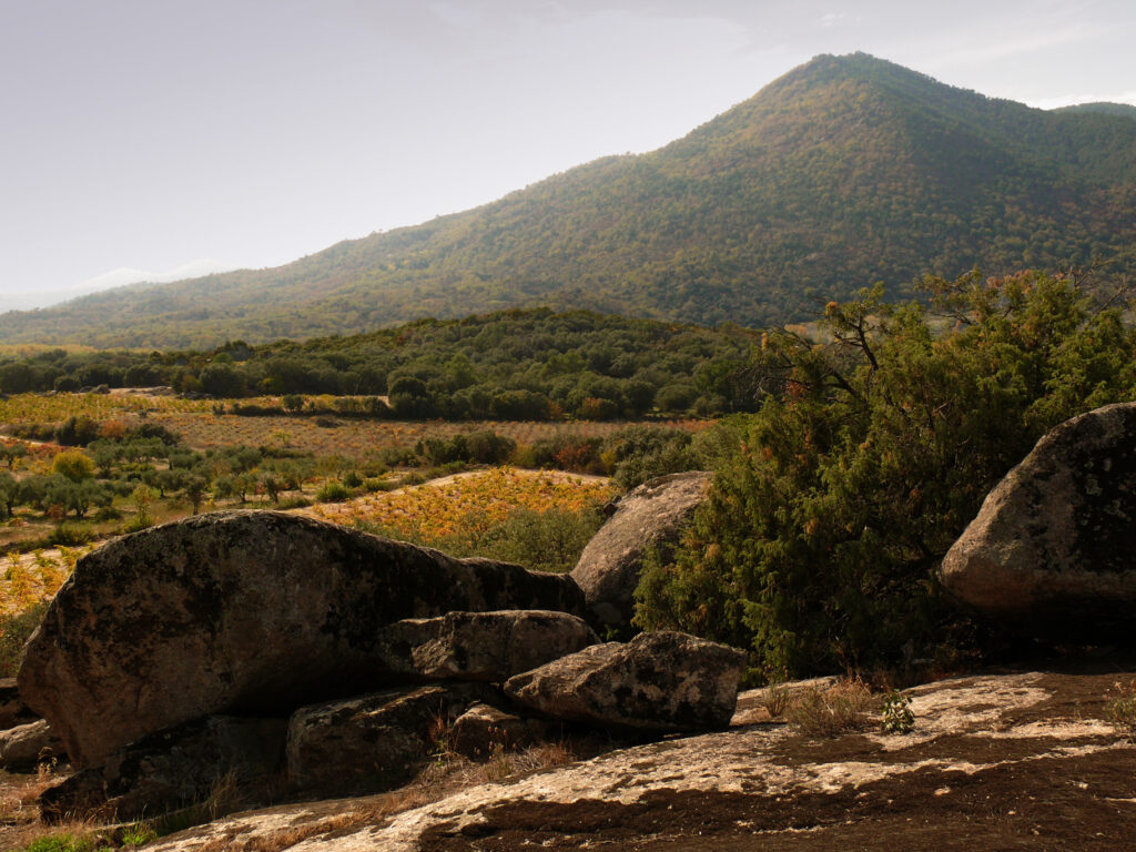 Vista panorámica de un paisaje de montaña en Navaherreros con grandes rocas de granito en primer plano y viñedos en tonos amarillos de otoño y bosque al fondo.