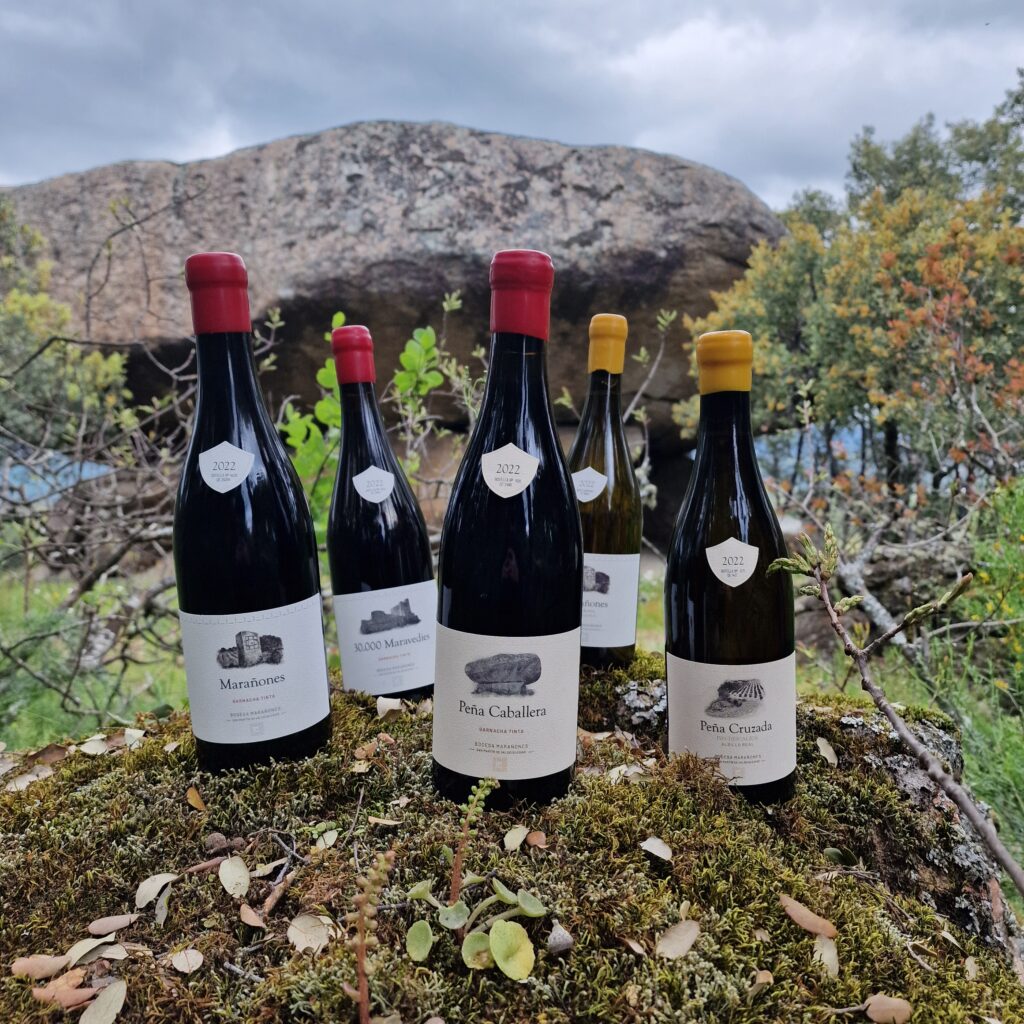 Gama completa de vinos Bodega Marañones sobre musgo con roca granítica de Gredos al fondo: Marañones, 30.000 Maravedíes, Peña Caballera y Peña Cruzada