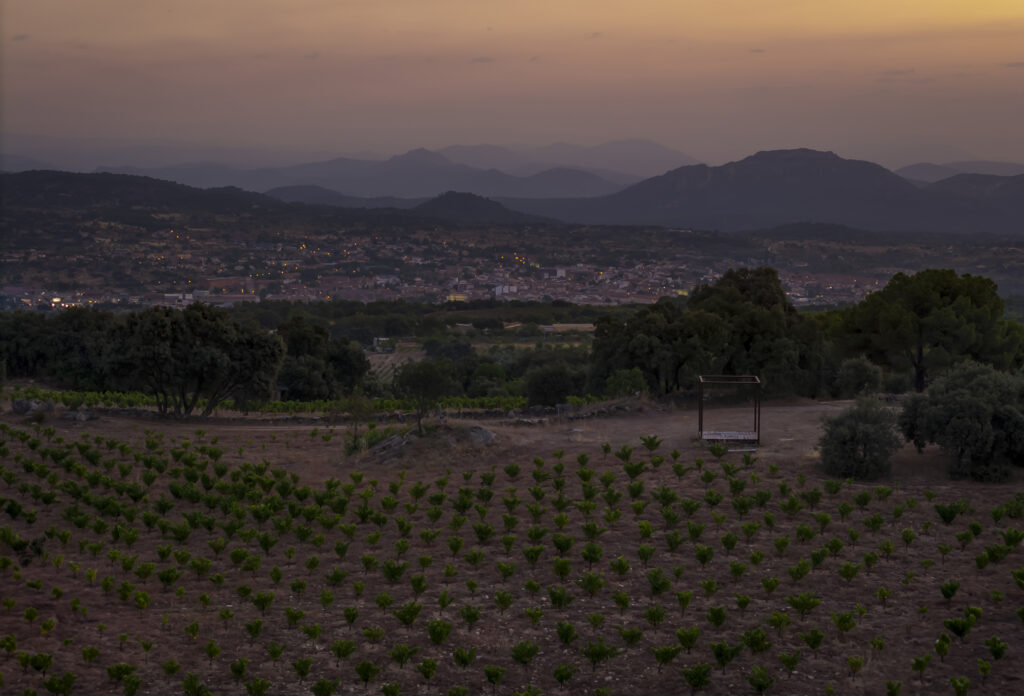 Viñedo de cepas en vaso con hojas verdes y suelo ocre en primer plano, con el pueblo de San Martín de Valdeiglesias y las montañas de Gredos al fondo bajo un atardecer naranja.