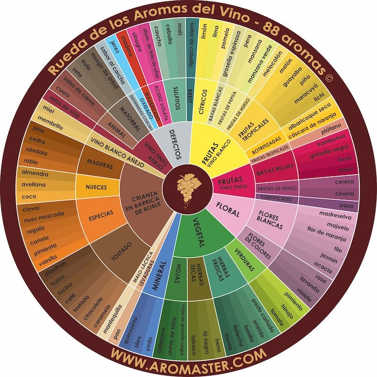 Rueda de aromas del vino con 88 descriptores organizados por familias: frutas, flores, especias, madera y mineral