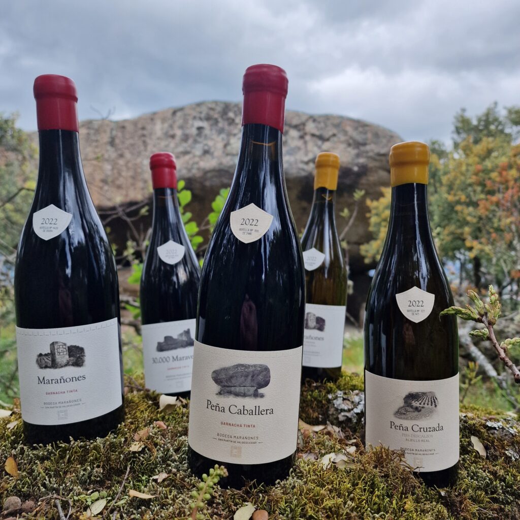 Botellas de los vinos de Marañones (30.000 Maravedíes, Marañones, Peña Caballera y Peña Cruzada) sobre musgo en Gredos.
