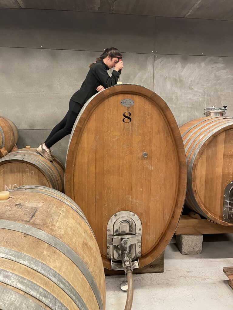 Enóloga catando vino barrica crianza bodega trabajo profesional seguimiento foudre