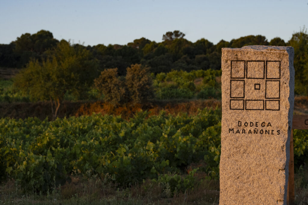 Hito de granito con el nombre Bodega Marañones frente a viñedos en la Sierra de Gredos al atardecer